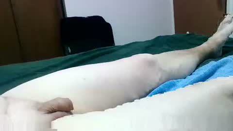 Snapshot of jakscoral chatting on January 26, 2025, 9:29 pm Jaks online show from January 26, 2025, 9:29 pm