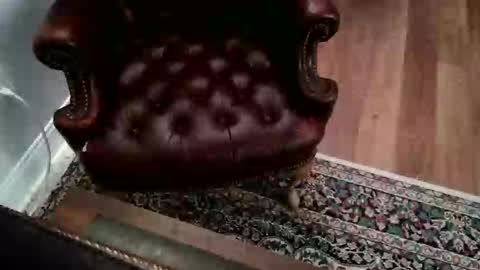 James Pembroke at your service online show from September 17, 2025, 7:15 pm