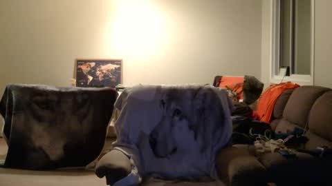 jameswolf777 online show from December 22, 2025, 6:54 am