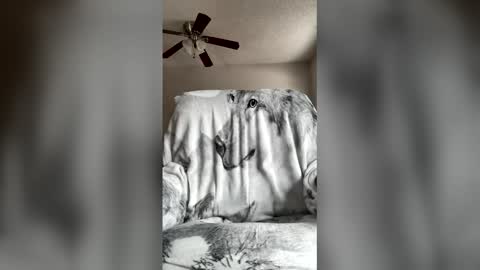 jameswolf777 online show from April 7, 2026, 7:03 pm