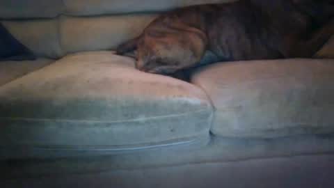 Snapshot of janks1963 chatting on September 21, 2025, 4:47 am janks1963 online show from September 21, 2025, 4:47 am