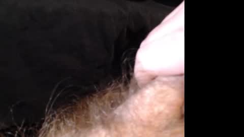 Snapshot of jasoncummings chatting on December 14, 2024, 2:53 pm Jason online show from December 14, 2024, 2:53 pm