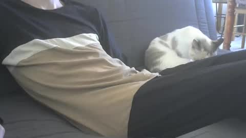 jasper 0 e23cm online show from September 21, 2025, 7:43 am