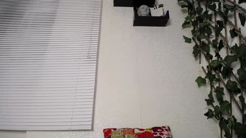 JKing  online show from January 15, 2025, 2:49 am