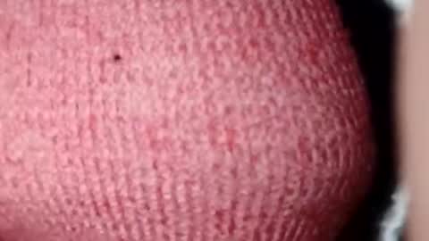 Snapshot of jasspreettt chatting on December 28, 2024, 7:11 am jasspreettt online show from December 28, 2024, 7:11 am