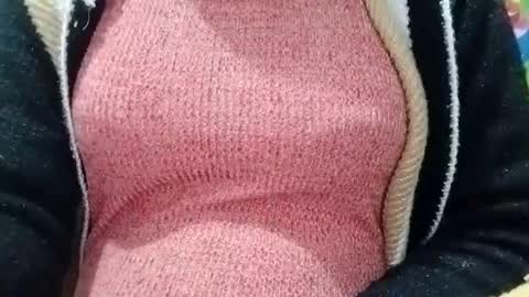 Snapshot of jasspreettt chatting on January 4, 2025, 5:48 am jasspreettt online show from January 4, 2025, 5:48 am