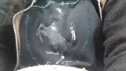 Snapshot of jasspreettt chatting on February 2, 2025, 6:58 am jasspreettt online show from February 2, 2025, 6:58 am