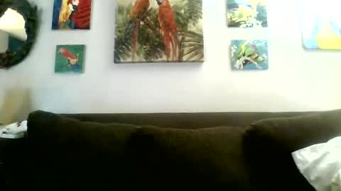 jay-jay1475 online show from January 30, 2025, 8:31 pm