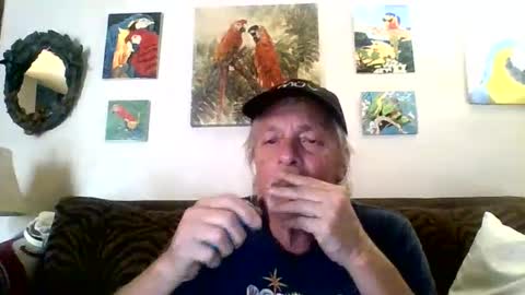 jay-jay1475 online show from February 8, 2025, 6:33 pm