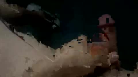 Snapshot of jay_peso chatting on November 18, 2025, 7:51 pm Jay Peso online show from November 18, 2025, 7:51 pm