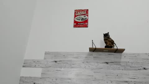 Jaycreedd online show from March 12, 2025, 6:18 am