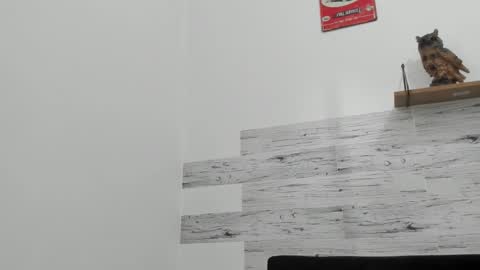 Jaycreedd online show from November 16, 2025, 5:51 pm