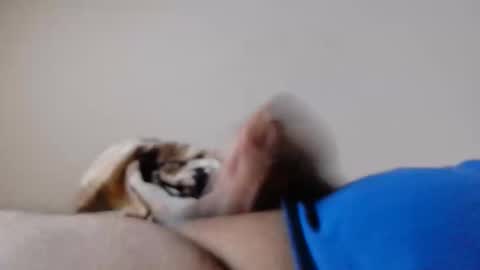 Snapshot of jayl458 chatting on March 10, 2025, 10:59 am jayl458 online show from March 10, 2025, 10:59 am