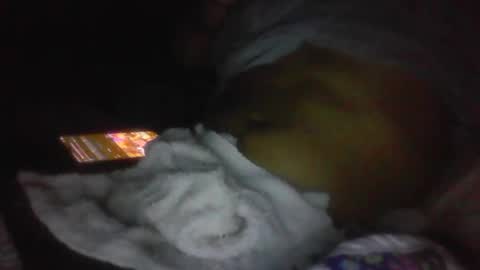 jaywulf22 online show from January 19, 2026, 5:11 am