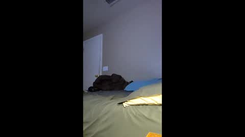 jdtripp15 online show from February 15, 2026, 2:03 pm