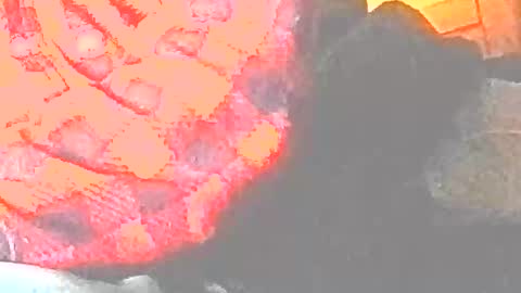 jedishy925585 online show from December 17, 2025, 9:04 am