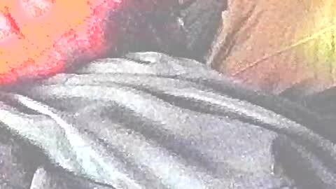 jedishy925585 online show from December 18, 2025, 1:55 am