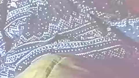 jedishy925585 online show from December 22, 2025, 7:16 am