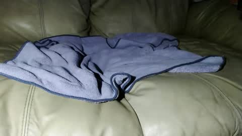 jeffersonel online show from February 18, 2025, 7:10 am