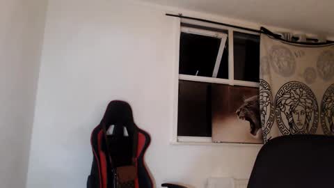 jefflowell_ online show from January 31, 2026, 7:11 pm