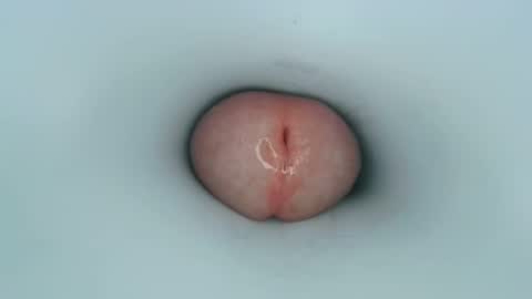 Snapshot of jeffrodgerschaturbat chatting on January 11, 2025, 12:50 pm jeffrodgerschaturbat online show from January 11, 2025, 12:50 pm