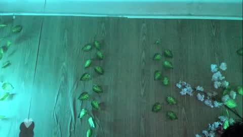 Snapshot of jenelotizz06 chatting on September 27, 2025, 6:24 pm Jenelotizz online show from September 27, 2025, 6:24 pm