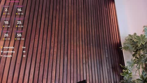     online show from January 23, 2025, 3:22 pm