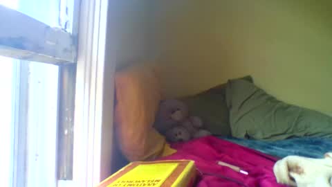 Jenn -  come to my onlyfans online show from April 17, 2026, 3:04 pm