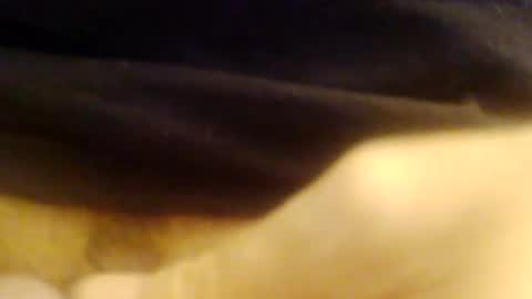 JoeEBear online show from December 9, 2024, 9:05 pm