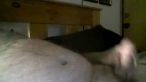 jerkmate6666 online show from March 16, 2026, 8:18 am
