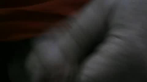 jerom111111111 online show from January 2, 2025, 2:24 pm