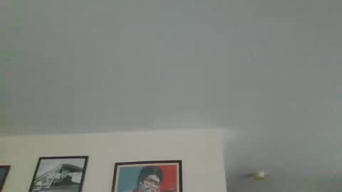 Harry online show from December 28, 2024, 9:31 am