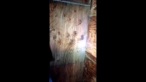 jessemwl8 online show from March 26, 2026, 11:16 am