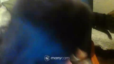 Snapshot of jessjess4you chatting on February 15, 2025, 11:47 pm jessjess4you online show from February 15, 2025, 11:47 pm