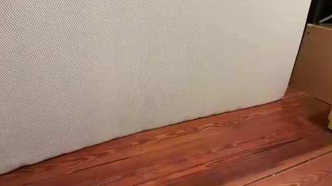 me online show from January 16, 2026, 6:39 am