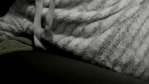 Snapshot of jimmiguel12345678 chatting on December 25, 2024, 2:14 am jimmiguel12345678 online show from December 25, 2024, 2:14 am