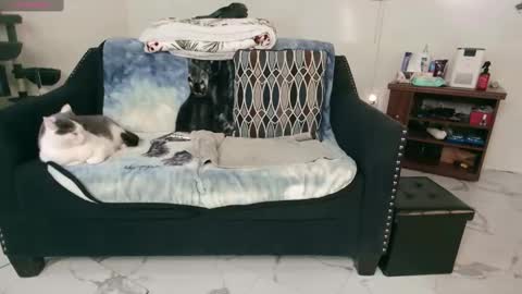 Nicole  Allen online show from February 13, 2025, 12:46 am