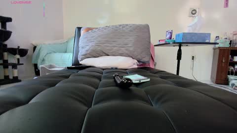 Nicole  Allen online show from September 18, 2025, 10:01 pm