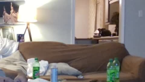 jkelly92081bean online show from October 5, 2025, 10:24 am