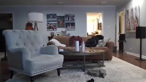 jkelly92081bean online show from November 21, 2025, 6:45 am