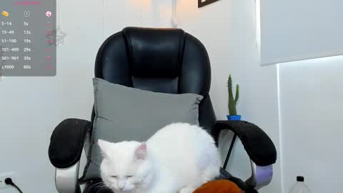 IGJmortton online show from December 1, 2025, 2:33 pm