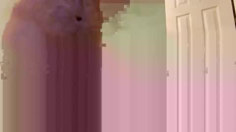 Jmtz4420 online show from January 2, 2025, 9:00 am