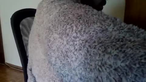 joaodias_18 online show from December 13, 2024, 2:16 pm