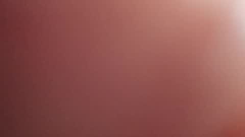 joeevanski online show from November 22, 2025, 12:09 am