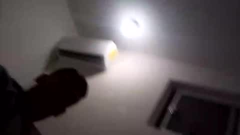 joelelizandroelizalde online show from November 12, 2025, 8:04 am