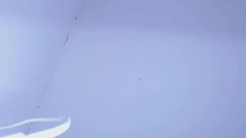 Snapshot of johanleonsweetboy chatting on February 5, 2025, 11:28 pm JOHAN independient model online show from February 5, 2025, 11:28 pm