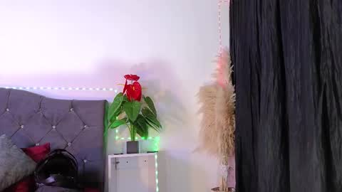 John  online show from February 26, 2026, 12:37 pm