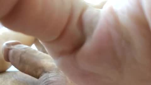 johnnnn2331 online show from November 18, 2025, 2:17 am