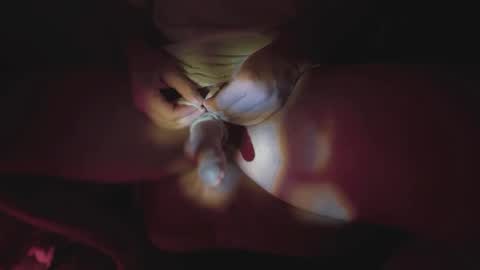 Snapshot of jonahshyfap chatting on January 9, 2025, 2:22 am jonahshyfap online show from January 9, 2025, 2:22 am