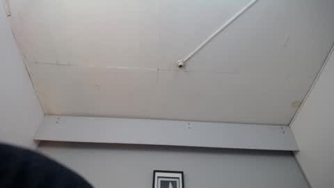  JONAS BEARD  online show from January 25, 2025, 12:16 pm